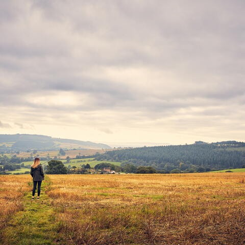 Lingen countryside