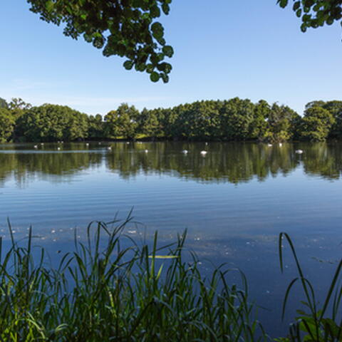 Titley Pool