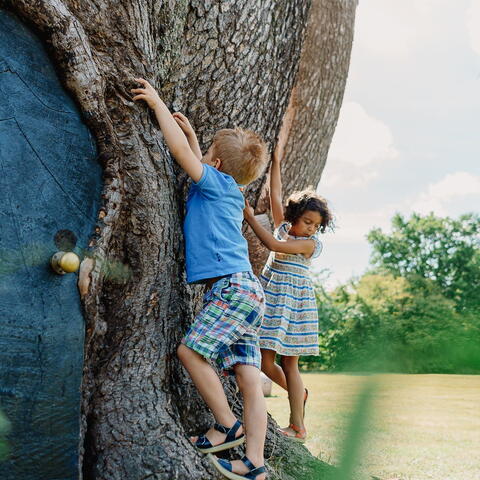 Tree door at Hampton Court Castle