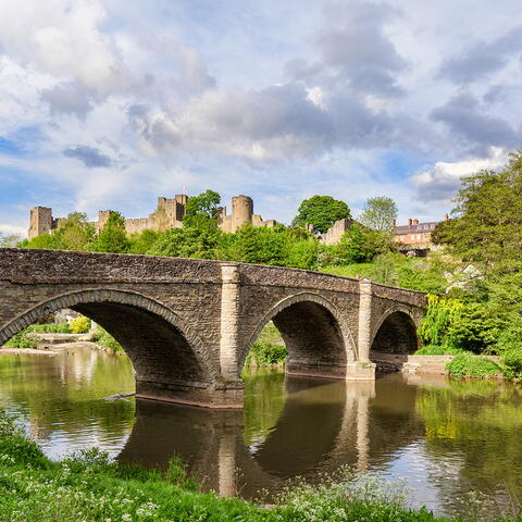 Bridge into ludlow