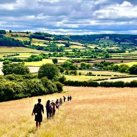 walking through golden fields