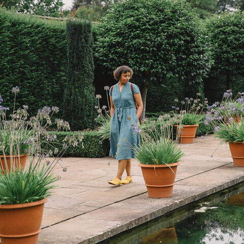 The Dutch Garden at Hampton Court