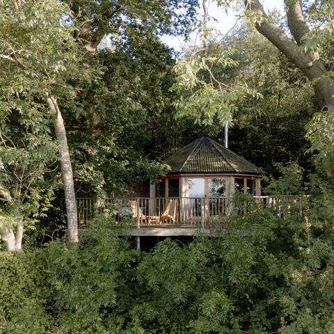 Brook House Woods - Venn treehouse