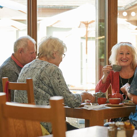 Visitors enjoying afternoon tea at Berrington Hall