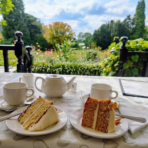 Hergest Croft Maples Tearoom Afternoon Tea