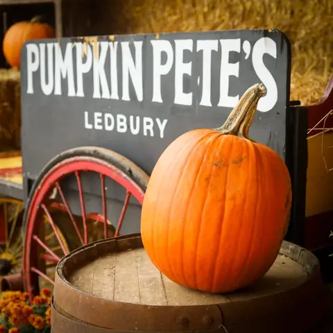 Pumpkin Pete's Ledbury