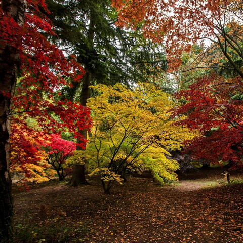 Queenswood Country Park 