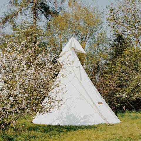 tepee tent surrounded by blossom 