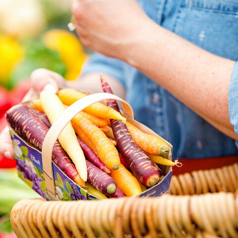 Lady Putting Carrots in her basket