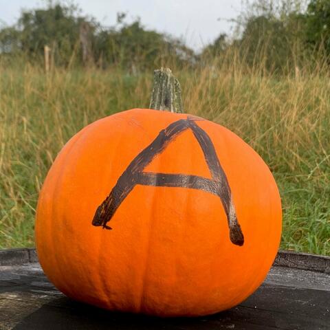 Pumkin on a farm with an A on it