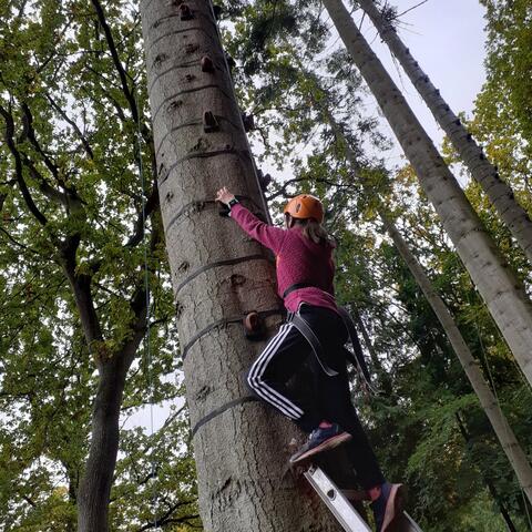 Young person climbing tree at Oaker Wood