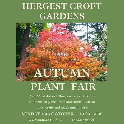 plant fair event information over picture of gardens