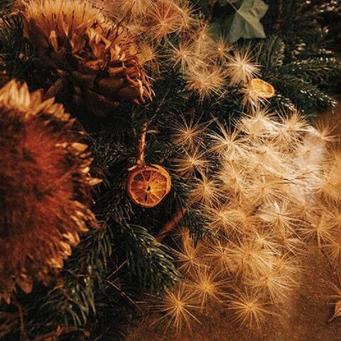 Close up of Christmas wreath with dried orange peel