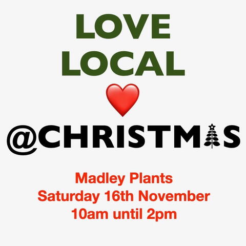 poster for Madley Plants Love Local event