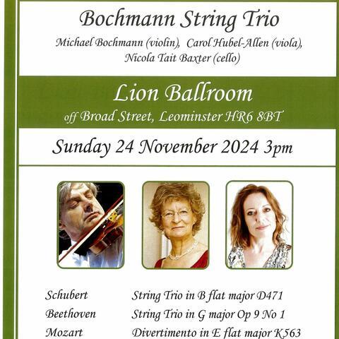 Poster for string trio music event 