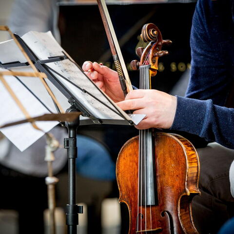 Person Looking at sheet music holding a violin