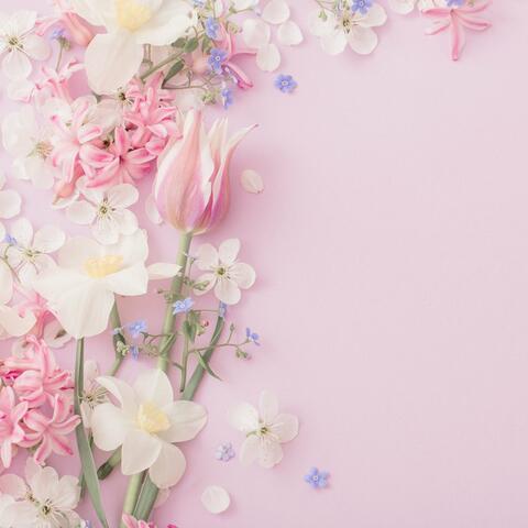 scattered flowers on pink background