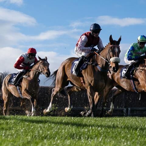 Horses Racing