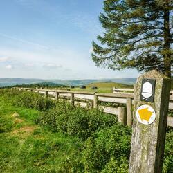 Walking sign post