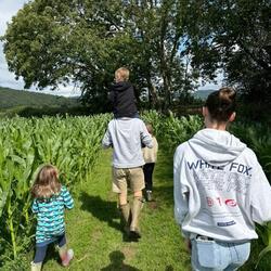 family in maize field