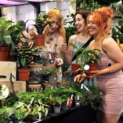 People buying flowers at the RHS Malvern Spring Show