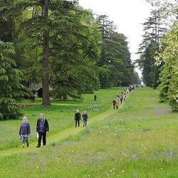 Broxwood Gardens