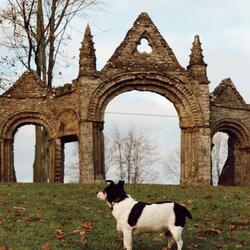 Shobdon Arches