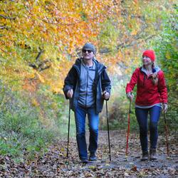 Nordic Walking in Kington