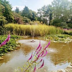 Kenchester Water Gardens